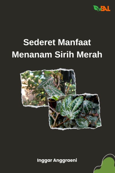 Sederet Manfaat Menanam Sirih Merah